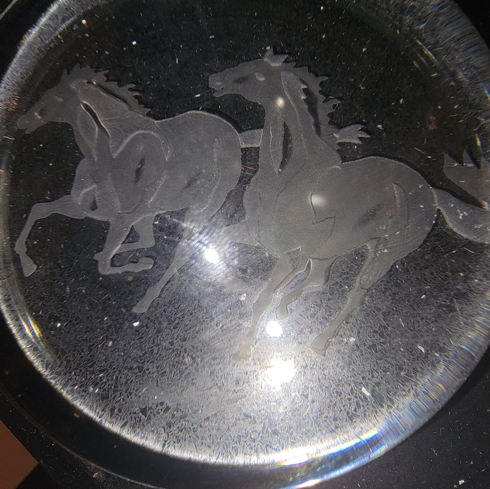 Art Glass Dome Paperweight Running Galloping Wild Horses